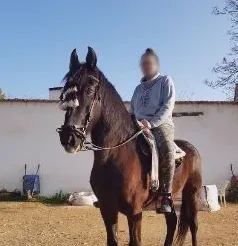 Milica, 31